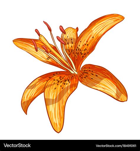 Digital painting of flower Royalty Free Vector Image