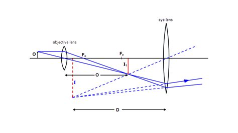 Explain the construction and working of a compound microscope with a ...