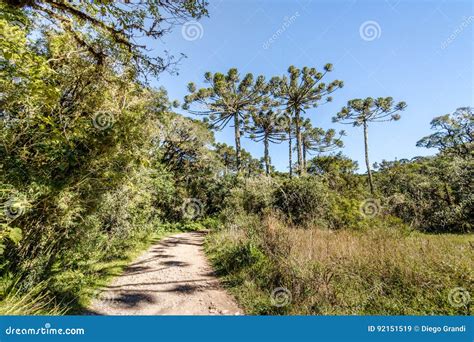 Aparados Da Serra National Park Visitor Center Royalty-Free Stock ...