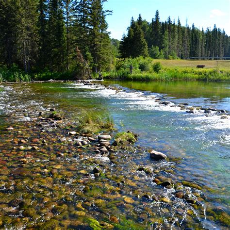 Waskesiu River Trail - All You Need to Know BEFORE You Go (2024)