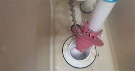 Leaking Toilet Flapper? How To STOP The Leak! - Toilet Haven