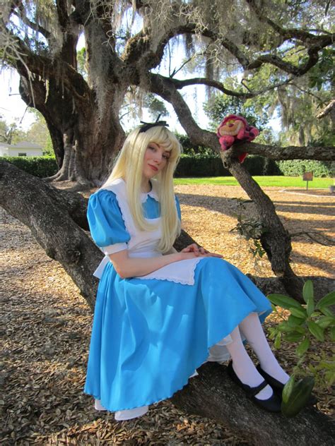 Adult Alice In Wonderland Costume