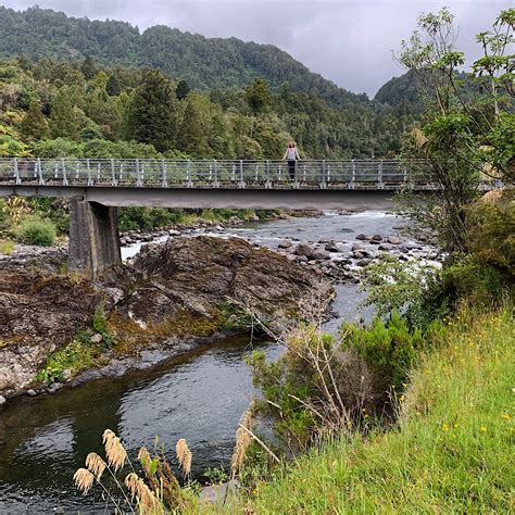 TA Day 44, Taumaruni to Whakapapa River – 25 km | alison young ...