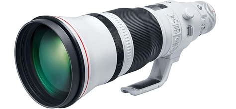 Which Canon Lenses For Wildlife Photography Do Experts Use?