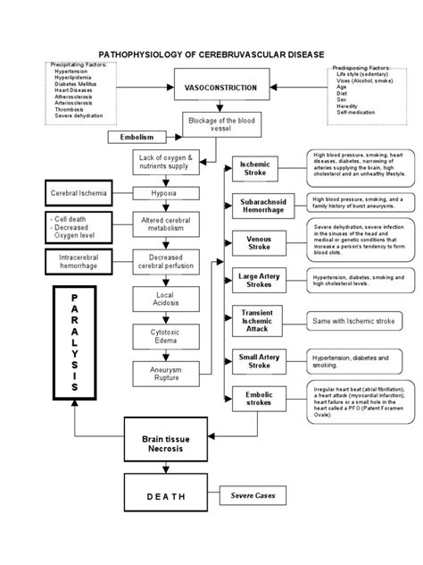 Pathophysiology of Stroke | Stroke | Ischemia