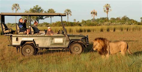 Wilderness Safaris’ secretive tax havens – Botswana Gazette