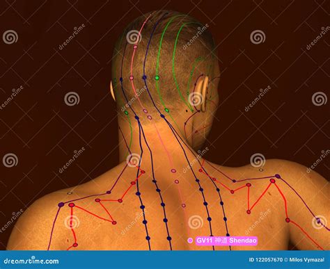 Acupuncture Point GV11 Shendao, 3D Illustration, Brown Background Stock Illustration ...