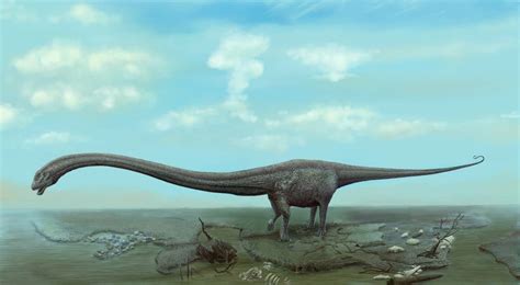 Mamenchisaurus | Dinosaurs - Pictures and Facts