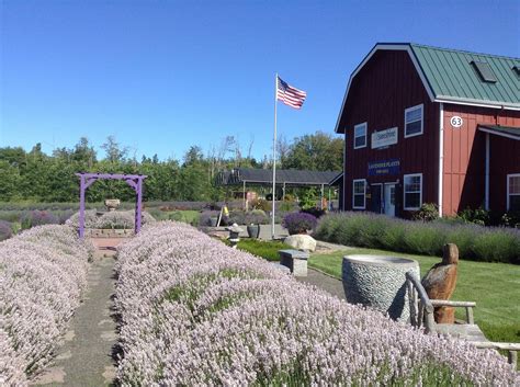 THE 15 BEST Things to Do in Sequim - 2022 (with Photos) - Tripadvisor