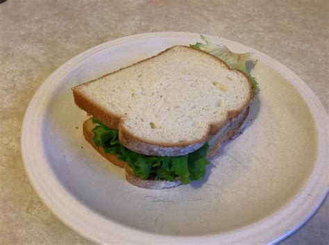 Cheese and lettuce sandwich Recipe | A Little Bit of Spice