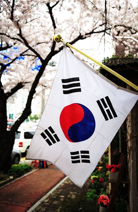 Corea paisajes South Korea Flag, South Korea Seoul, Korea Sud, South Korea Photography, Seoul ...