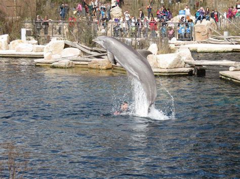 Local destination Nuremberg Zoo in Nuremberg - DOATRIP.de