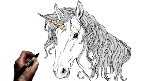 How To Draw A Realistic Unicorn Step By Step