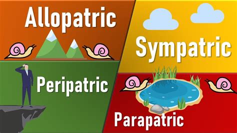 Parapatric Speciation