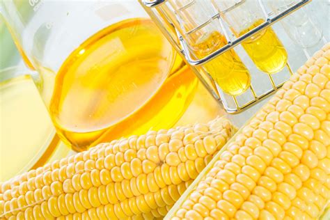 The Truth About High Fructose Corn Syrup | Vilee