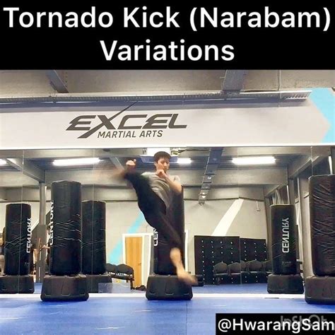 Remake of the “tornado kick variations” video...still doesn’t do much justice to make it less ...