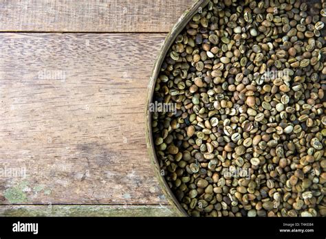 Detail of the raw Kopi Luwak coffee beans on the coffee farm Stock Photo - Alamy