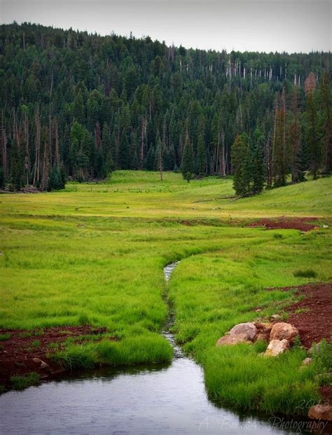 Becker Creek | White Mountains | Arizona | Arizona hiking, Arizona travel, Arizona adventure