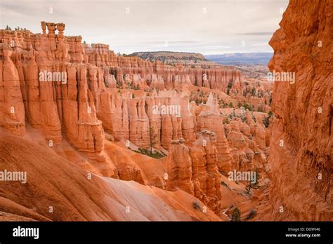 Bryce Canyon, Navajo Loop Trail, Bryce Canyon National Park, Utah Stock ...