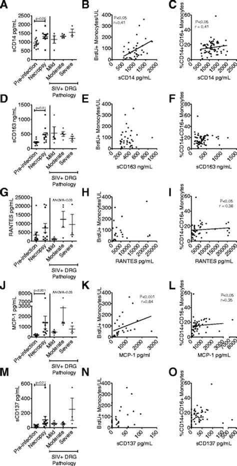 Correlates of plasma markers of monocyte activation and monocyte... | Download Scientific Diagram