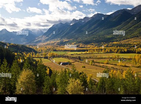 Elk Valley in autumn near Fernie, BC, Canada Stock Photo - Alamy