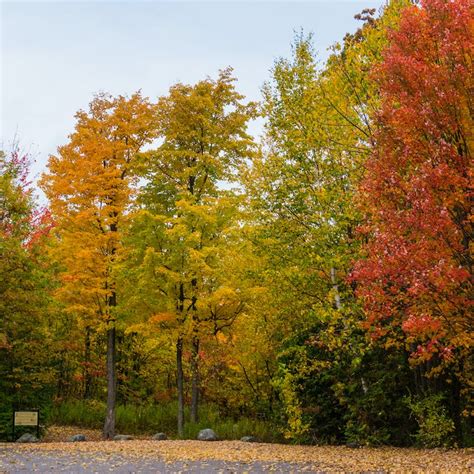 Eight fall foliage spots to add to your bucket list - THOR Industries