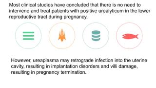 Will a positive ureaplasma urealyticum cause female infertility? | PPT