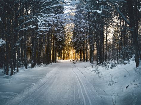 Tolle Fotos in der Winterlandschaft - Fotonerd