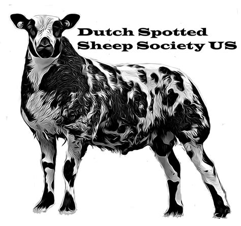 Dutch Spotted Sheep Society US