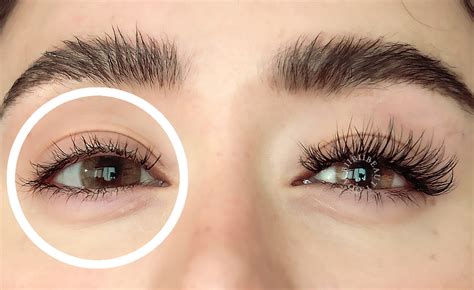 Diy Lash Extensions Canada : This Diy Lash Extension Kit Has Ruined Mascara For Me Forever ...