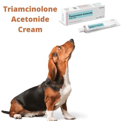 Can I Use Human Triamcinolone Acetonide Cream On My Dog? (Best Practises) - Dog Friendly Scene