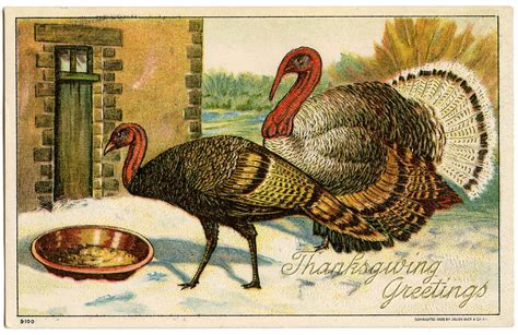 7 Thanksgiving Postcards with a Turkey! - The Graphics Fairy