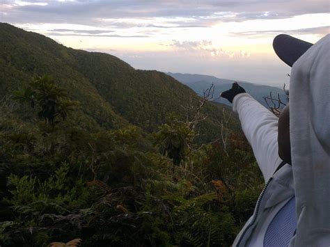 Blue Mountain Hiking Tours in Jamaica | Blue Mountain Peak