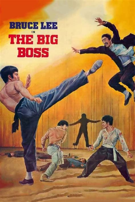 Bruce Lee Movies / Bruce Lee The Warrior Within Kung Fu Poster 1976 1 Sheet ... : Bruce lee ...