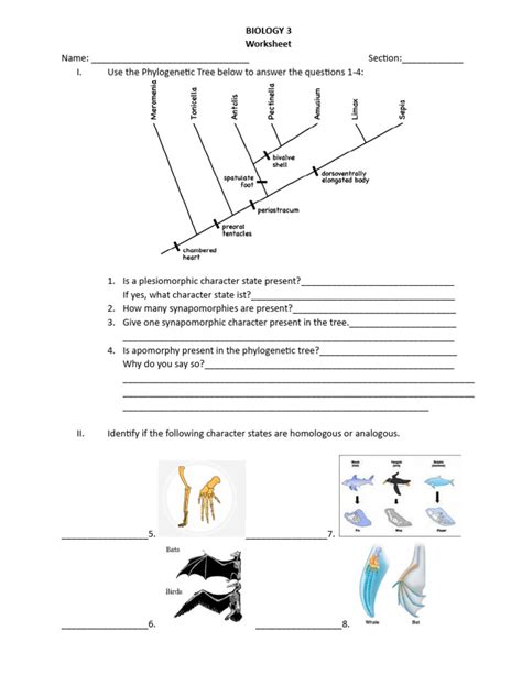 Worksheet Homologous and Analogous Structure | PDF