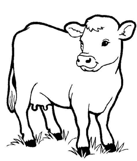 Printable Coloring Pages | Cow coloring pages, Farm coloring pages, Coloring pictures of animals