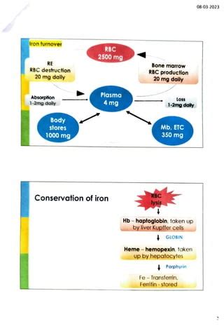 Iron metabolism.pdf