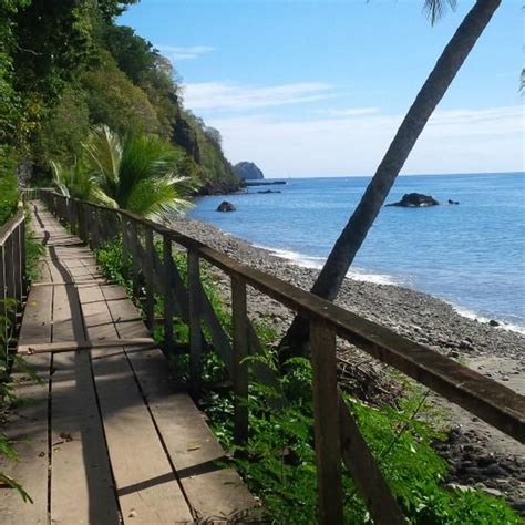 Champagne Beach, Dominica | Caribbean islands beach, Caribbean islands ...