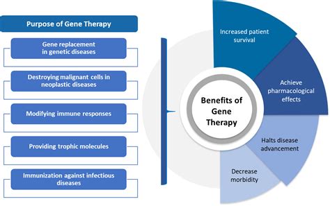 Gene Therapy Market Report, Share & Size, Analysis 2020-2027