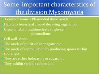 Myxomycota | PPT