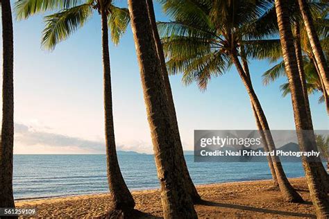 198 Palm Cove Cairns Beach Queensland Stock Photos, High-Res Pictures, and Images - Getty Images