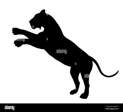 Black lion art illustration silhouette on a white background Stock Photo - Alamy