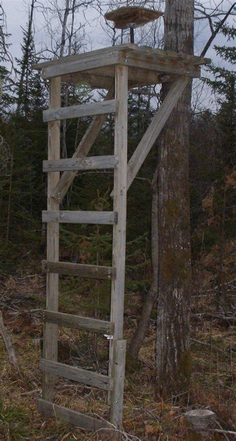 Free Ladder Deer Hunting Stand Plans