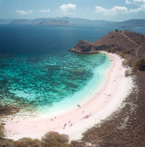 Pink Beach Komodo Island - Pink Sand Beach and Epic Snorkeling – We Seek Travel Blog