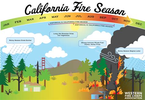 California Fire Season: In-Depth Guide | WFCA