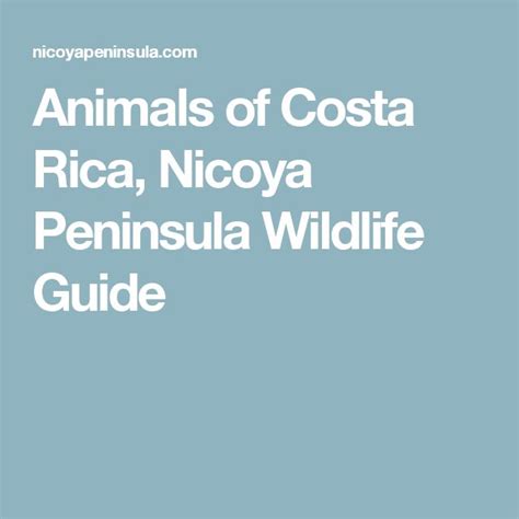 Animals of Costa Rica, Nicoya Peninsula Wildlife Guide | Costa rica, Costa, Wildlife