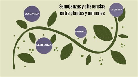 SEMEJANZAS Y DIFERENCIAS ENTRE PLANTAS Y ANIMALES by Michelle Chiquet ...