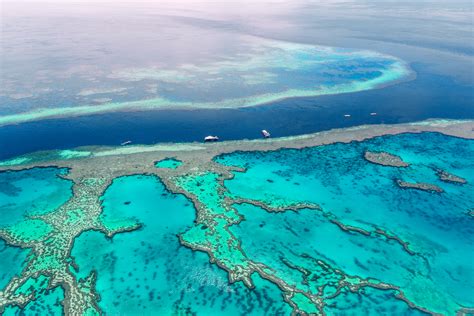 Lady Elliot Island: Paradise in the Great Barrier Reef