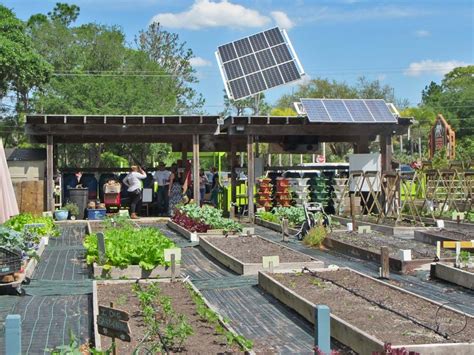 Sustany Tampa Community Garden Tour | The Sustany Foundation