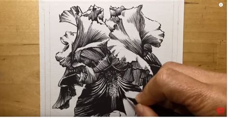 How to Draw Using a Pentel Brush Pen » Mega Pencil